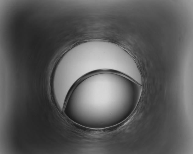 X0000088660293200705251008