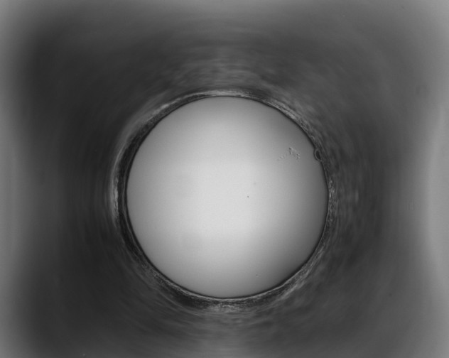 X0000088660294200705251008