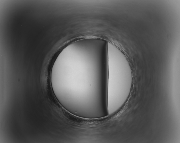 X0000088660295200705251008