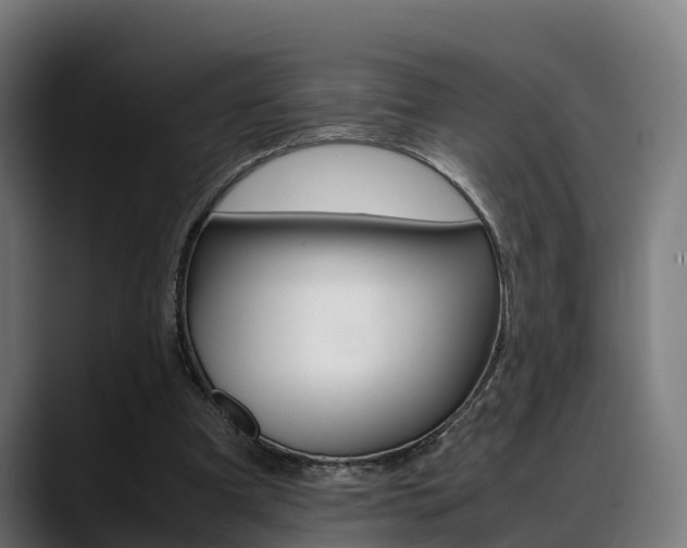 X0000088660297200705251007