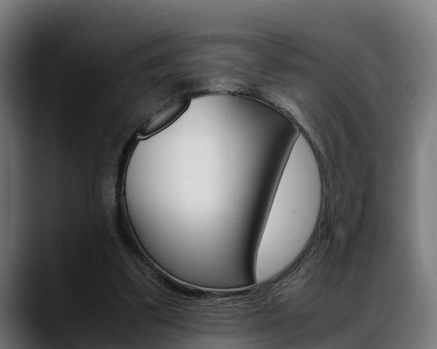 X0000088660299200705251007