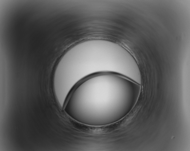 X0000088660301200705251007