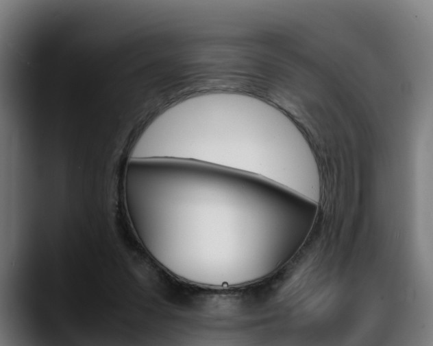 X0000088660303200705251007