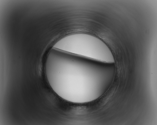 X0000088660304200705251007