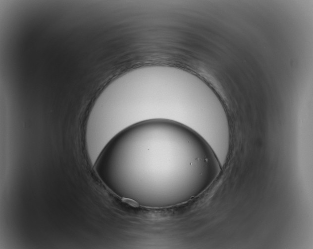 X0000088660305200705251007