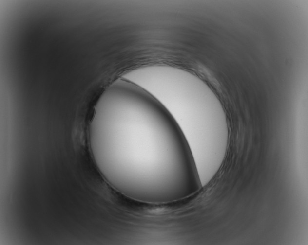 X0000088660313200705251007