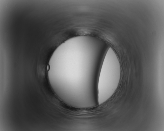 X0000088660315200705251007