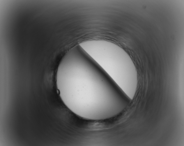 X0000088660319200705251007