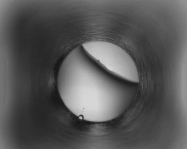 X0000088660320200705251007