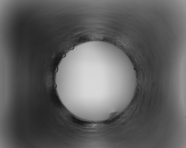 X0000088660323200705251007