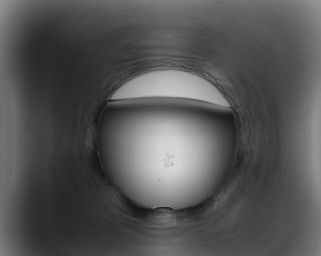 X0000088660325200705251007