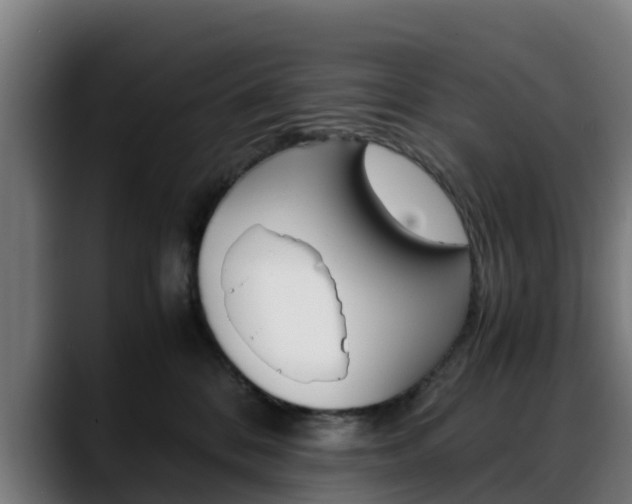 X0000088660328200705251007