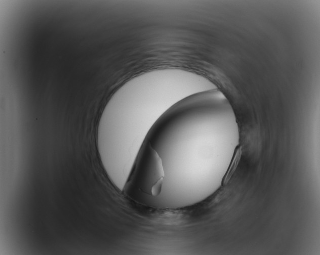 X0000088660329200705251007