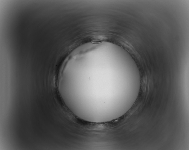 X0000088660330200705251007