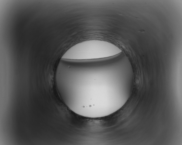 X0000088660332200705251007