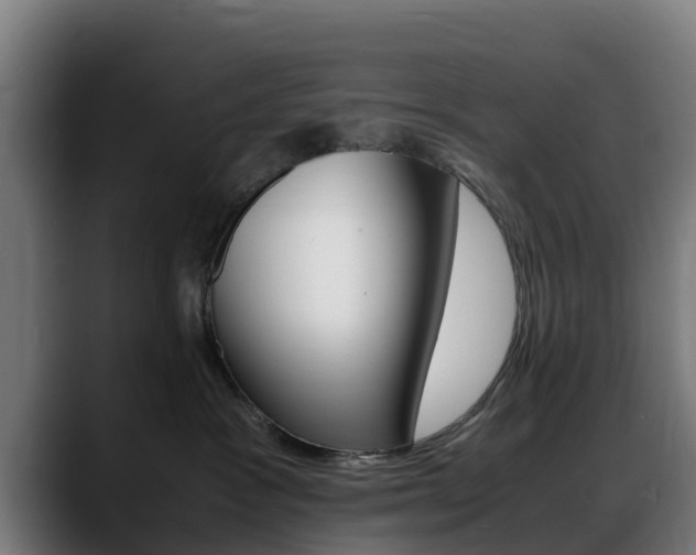 X0000088660333200705251007