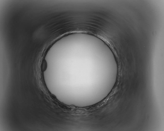 X0000088660337200705251006