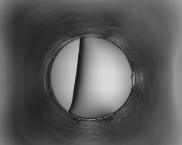 X0000088660339200705251006