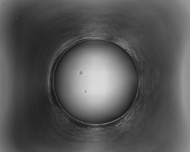 X0000088660340200705251006