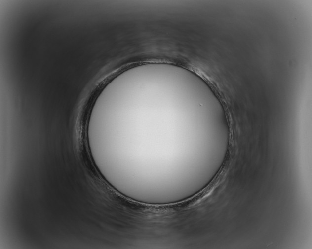 X0000088660343200705251006