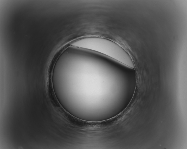 X0000088660344200705251006