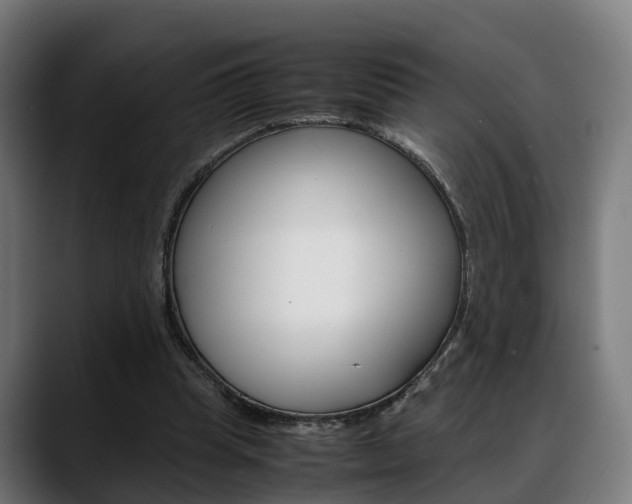 X0000088660345200705251006