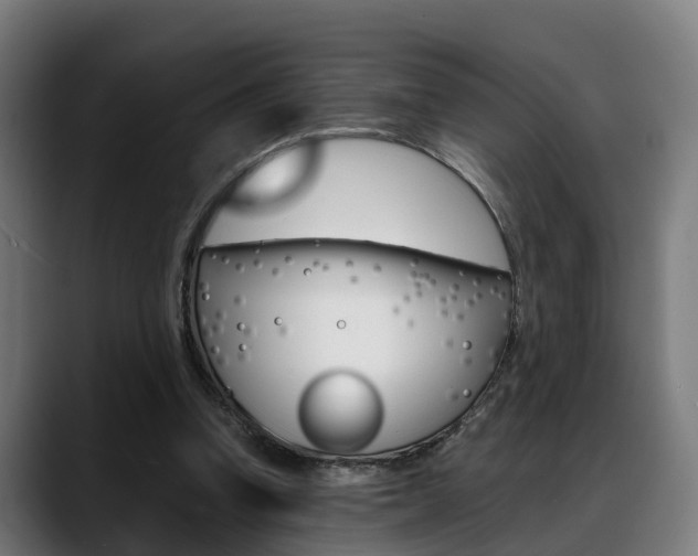 X0000088660346200705251006