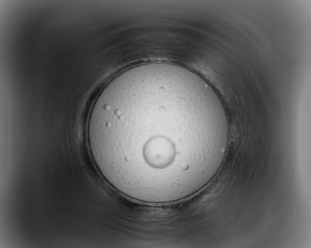 X0000088660347200705251006