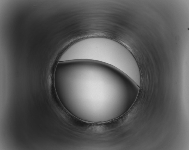 X0000088660350200705251007
