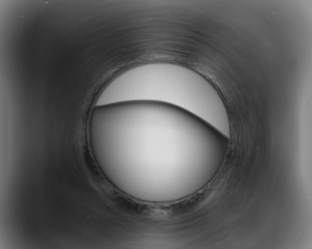 X0000088660352200705251007