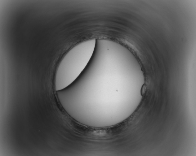 X0000088660353200705251007