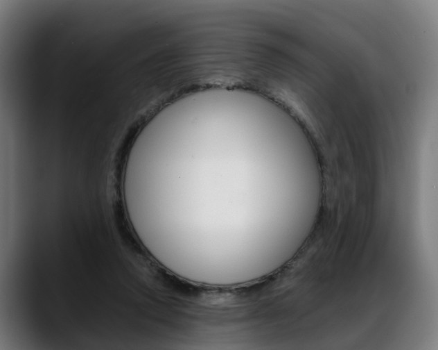 X0000088660354200705251007