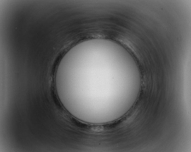 X0000088660355200705251007