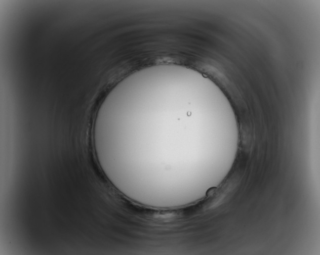 X0000088660357200705251007