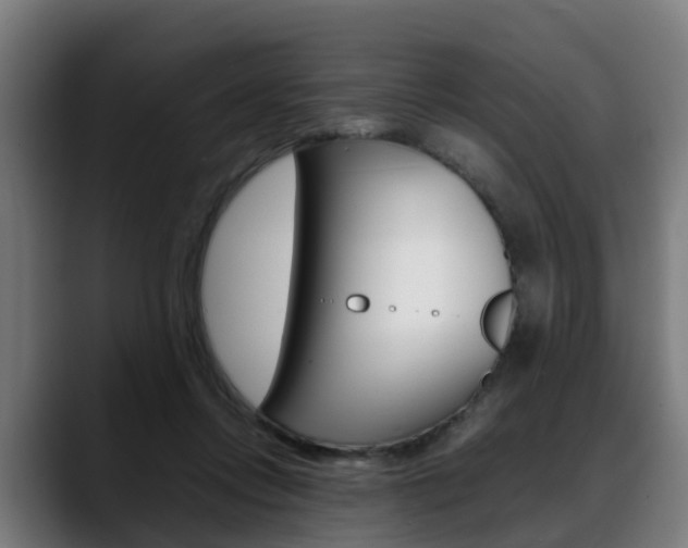 X0000088660358200705251007