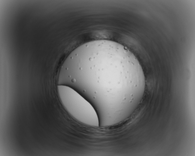 X0000088660359200705251007