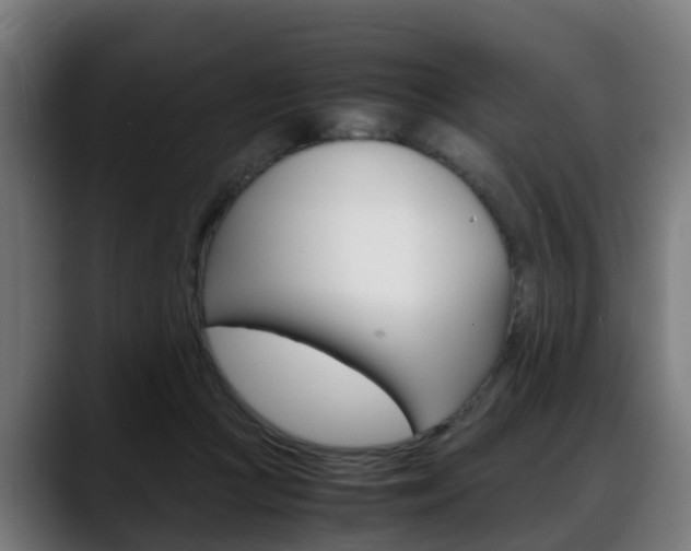 X0000088660361200705251007