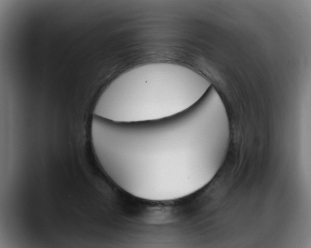 X0000088660362200705251007