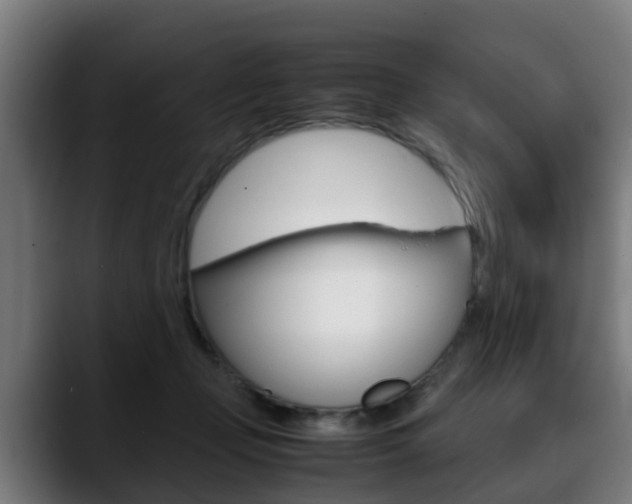 X0000088660365200705251007