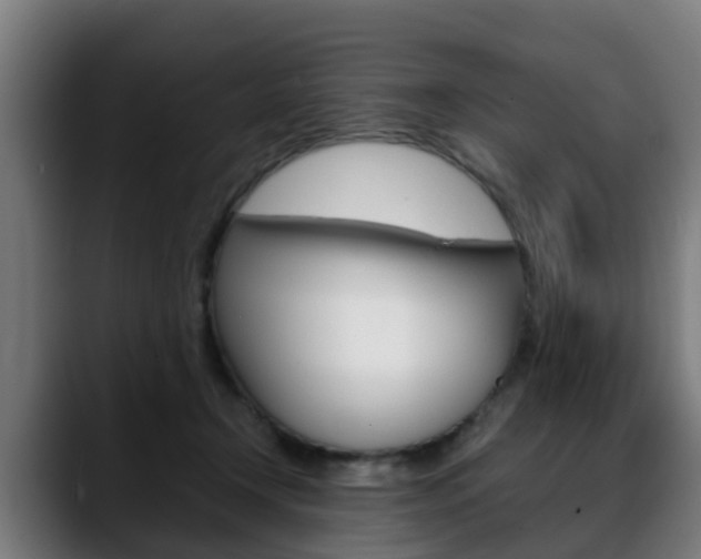 X0000088660366200705251007