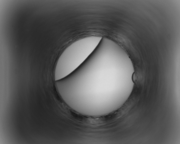 X0000088660367200705251007