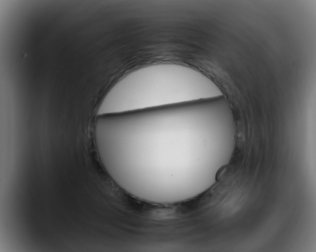 X0000088660369200705251007