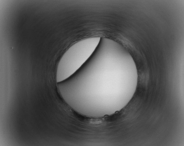 X0000088660373200705251007