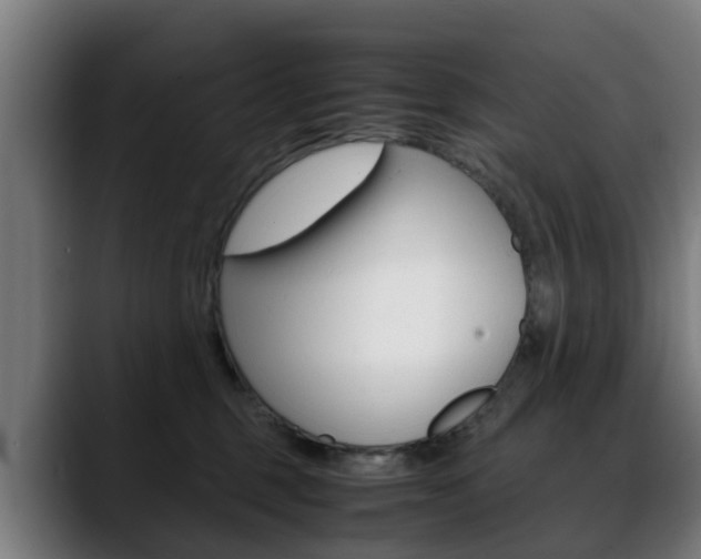 X0000088660375200705251007