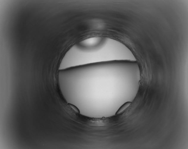 X0000088660381200705251007