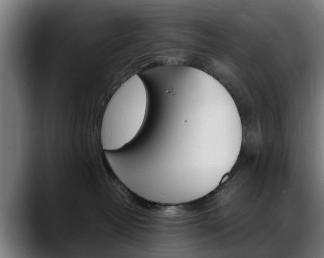X0000088660382200705251007