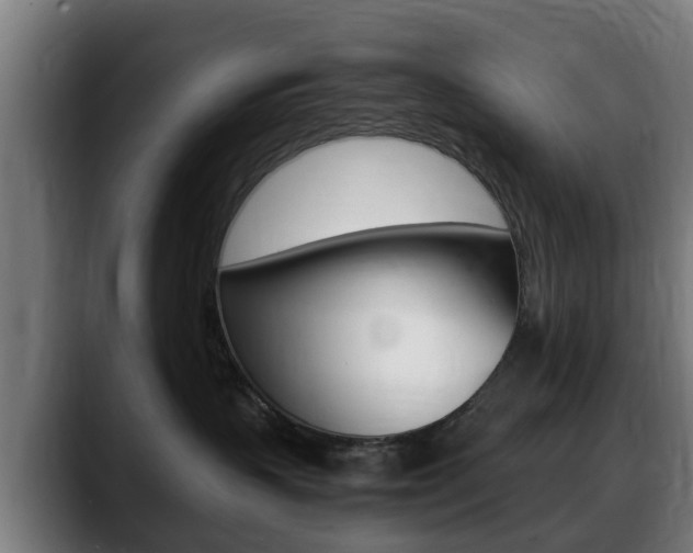 X0000088660383200705251007