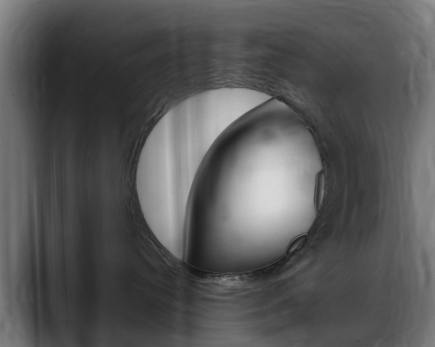 X0000088660384200705251007
