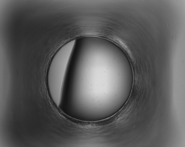 X0000088660385200705251006