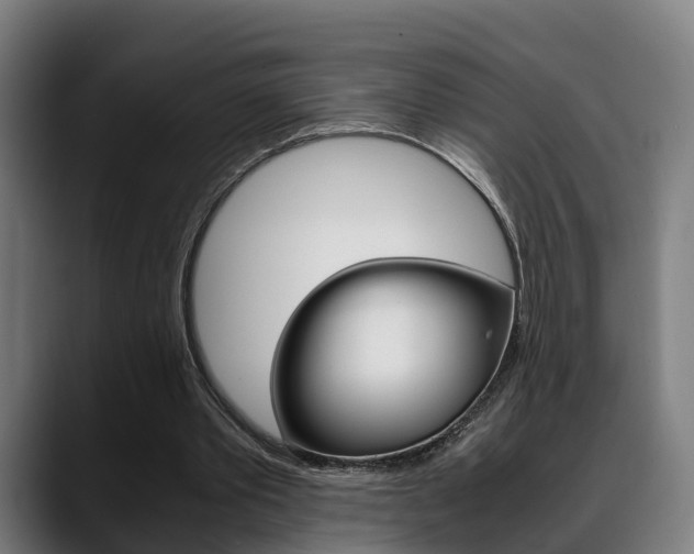 X0000088660389200705251006